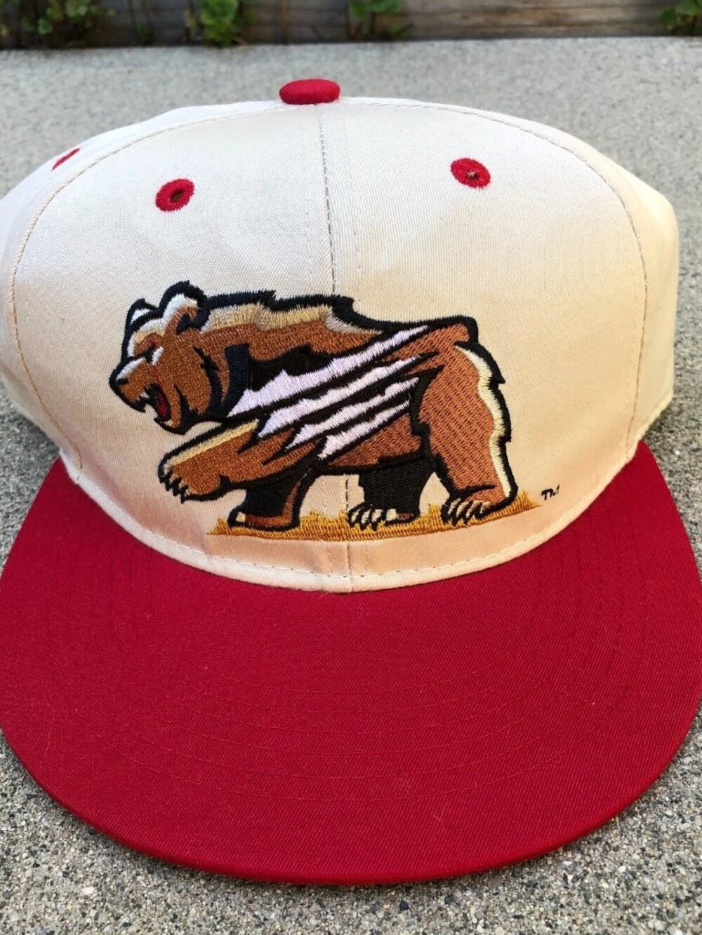 FRESNO GRIZZLIES Minor League Baseball Snapback Hat Men's MiLB Beige Cap NEW